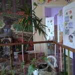 img 1762e8105bbcba9ca9d28832b5f94ccd v cff52077