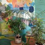 img da8cd6e11b6bf8332e7db4a964ca4efc v 284d0c8b