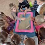 305973269 577451537501219 8748581271969933222 n d000ae2c