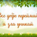 315090719 617854203460952 1172040709178634955 n f1995644