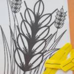 316432007 625684889344550 4965020590512301454 n 1b207b2b