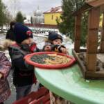 409414636 853338636579173 740202267254186381 n