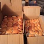 АКЦІЯ "ПОДАРУЙ РІЗДВЯНЕ ТЕПЛО ЗАХИСНИКУ" 8 411391781 858314522748251 6072485525984966976 n