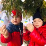 428675008 895193469060356 8453881776084022545 n