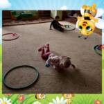 409092668 896619775584392 1381157963352340217 n