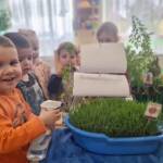 429973664 900815105164859 7300322585506898311 n