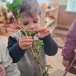 430029612 900815005164869 1122697734838242060 n