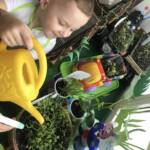 431008777 900815168498186 4242423629373174998 n