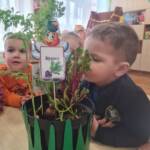 431023908 900814968498206 3093373886408651199 n